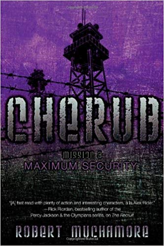 Maximum Security Book Cover
